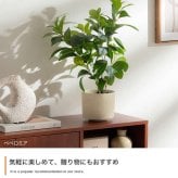 【高さ27cm】光触媒人工観葉植物 モンステラ 幅35cm×奥行45cm×高さ27cm コンパクト 天然木 お部屋に気軽に飾れて空間を美しく彩るフェイクグリーン 本物の植物のようなリアルな質感とインテリアに馴染む風合いが魅力です