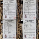 レオパード キャット コート 毛皮 テーラーカラー ベルト 付き 着丈90cm レディース ナチュラル ギフト プレゼント 7F (01000865r)