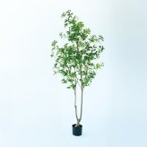 観葉植物 造花 アセビ BROWN 全高約210cm 大型 フェイクグリーン 高級 本物そっくり リアル おしゃれ 和風 和モダン インテリア 人工観葉植物 アーティフィシャルグリーン オフィス 店舗 ホテル 旅館 開店祝い 室内 リビング 玄関 風水 庭木 馬酔木