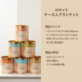 【単品販売】コロット ケース入ブランケット ひざ掛け 毛布 ブランケット 防寒 冷え対策 あったか 膝掛け コンパクト 収納 ケース付き ポーチ オフィス デスク 車内 キャンプ アウトドア ギフト プレゼント ノベルティ 景品 粗品 記念品 冬用品 冷房対策