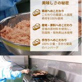 蔵王山麗ハンバーグ×角煮セット 低温調理豚の角煮150ｇ ハンバーグ180ｇ×２個～４個 セット商品 その他贈り物にも対応可能 ハンバーグセット 角煮セット 蔵王山麗ハンバーグ ギフトセット 冷凍 湯煎商品 冷凍ハンバーグ  母の日 父の日 お中元