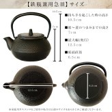 南部鉄器　鉄瓶兼用急須3型 九谷焼　ペア湯呑 セット ギフトボックス入り ( 岩鋳 即日発送 湯のみ 急須 茶器セット プレゼント 日本茶 新築祝い 工芸品 南部鉄器 結婚 出産 内祝い 引き出物 金婚式 誕生日プレゼント 還暦祝い 古希 喜寿 米寿 退職 定年 プレゼント ) 