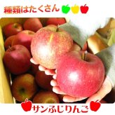 青森りんご 9kg 訳あり 送料無料 福袋 北海道産 青森産 リンゴ ※沖縄は送料別途加算 到着日指定不可