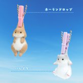 【5種類セット】 ガチャ ガチャガチャ コンプリート 中身 洗濯日和