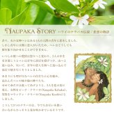 ハワイアンジュエリー シルバー ネックレス ハワイの花 ナウパカ シルバー925 ロジウムコーティング ギフトラッピング可能 チェーン 長さ選べる aumakua メンズ レディース 誕生日 プレゼント ハロウィン 【品番：CG-014-11-02】