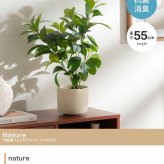 【高さ55cm】光触媒人工観葉植物 ペペロミア 幅30cm×奥行25cm×高さ55cm コンパクト 天然木 お部屋に気軽に飾れて空間を美しく彩るフェイクグリーン 本物の植物のようなリアルな質感とインテリアに馴染む風合いが魅力です