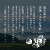【送料無料】栗どら焼き 10個 ハロウィン 秋ギフト 秋の味覚 【お祝い・贈り物に！】 ギフト お供え プチギフト 内祝い 小分け お礼 誕生日 職場復帰 お土産 結婚内祝い 個包装 香典 挨拶 見舞い 法要 お祝い 丹波篠山 諏訪園 お菓子 スイーツ くり 和菓子 どらやき