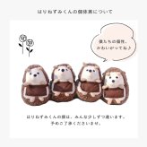amanoppo あまのっぽ はりねずみくんとカップケーキ 絵本＆ぬいぐるみセット | 絵本 えほん ぬいぐるみ はりねずみ どうぶつ 動物 アニマル 1歳児 1歳半 ファースト絵本 読み聞かせ 知育 五感 かわいい 可愛い プレゼント 誕生日 出産祝い ベビー