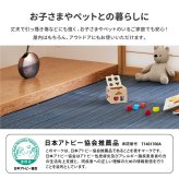 夏ラグ 夏用カーペット 洗える い草風 カーペット ライアン 本間 1帖 1畳 PP ラグ ビニール風 上敷 ござ 畳の保護