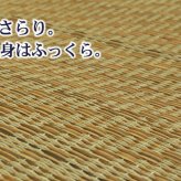 夏ラグ 夏用カーペット チップウレタン8mm入り い草ラグカーペット 『FCコルトNF』 約200×200cm