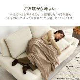 2人掛けソファ 2人用 2P ロー ごろ寝 2人掛け コンパクト リラックス 贅沢 くつろげる 広々 ゆとり 5色 肌触り良い ふんわり ミニクッション2個付き 一人暮らし 新生活 二人掛けソファ 2Pソファ ラブソファ リビングソファ 二人用ソファ