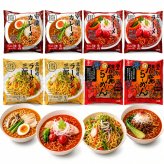 メーカー直送 望月製麺所 北海道バラエティラーメン食べ比べセット（8食）FNO3  26-6019-17 贈答品 自宅用 プレゼント 人気  お誕生日 北海道発祥のラーメンサラダや登別の閻魔ラーメン等北海道胃の個性豊かなラーメンセット