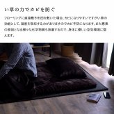 畳マットレス マットレス 三つ折り 日本 国産 畳 カビ防止 置き畳 軽量 梅雨 湿気 対策 新生活 こたつ敷 フロアマット 約120×210cm い草マットレス 折りたたみ畳 敷きマット 和室 フローリング 寝室 畳敷き 折り畳みマット 寝具 敷き寝具