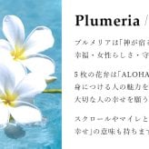 ハワイアンジュエリー ブレスレット 選べるチャーム パーツあずきチェーン 太約1.8mm 長さ 選べる 約15cm～20cm 0.5cm刻みで選べる シルバー925 メンズ レディース 誕生日 プレゼント ハロウィン 【品番：SCL11】