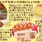 濃厚チョコレートクリームデコレーションロールケーキ [誕生日ケーキ バースデー チョコケーキ バレンタインデー ホワイトデー 母の日 父の日 クリスマス チョコレートケーキ コンパクト]
