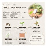 クッション シート リビング 日本製 オーガニックコットン 綿100% 無地 洗える 約40×50cm