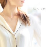 ハワイアンジュエリー ネックレス シルバー ネックレス ドルフィン イルカ ネックレス ジルコニア シンプル シルバー925 ギフトラッピング可能 チェーン 長さ選べる メンズ レディース 誕生日 プレゼント ハロウィン 【品番：CG-PSP-006】