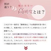 【パッケージリニューアル 2026年4月】季令（KIREI） エラスチンカプセル 100粒 高純度エラスチン 100％天然由来 コラーゲン エラスチン ヒアルロン酸 エイジングケア スキンケア キレイ 無着色 合成保存料・香料不使用 ACTLAND