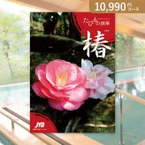 お返し・内祝いに！カタログギフト JTB選べるギフトたびもの撰華【10900円コース】椿（つばき）(カタログギフト 出産祝い 出産内祝い 内祝い 結婚祝い 結婚内祝い 香典返し)