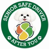 カーサイン 高齢者マーク SENIOR SAFE DRIVER ビションフリーゼ マグネット 強力 直径13cm 肉球 日本製 車 ステッカー
