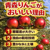 青森県産　りんご　弘前ふじ　早生ふじ　訳あり　選べる5kg　送料無料！　大きさ普通バラ詰め / 常温便