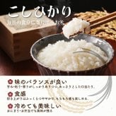 三重県産 コシヒカリ【内容量が選べる10kg~30kg】こしひかり 令和8年産 単一原料米 白米 精米 精白米 送料無料 精米工場からの直送品