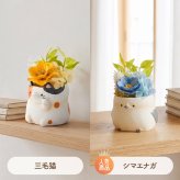 敬老の日 ギフト 花 アニマルポット プリザーブドフラワー フクロウ シマエナガ 選べるアニマル花器のギフトセット