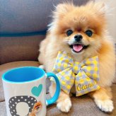 うちの子 バイカラー イニシャルマグカップ｜ペット写真で作るコップ 犬 猫 名入れ お誕生日 母の日 父の日 敬老の日 還暦祝い クリスマスプレゼント