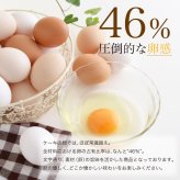 【完熟カステラケーキ】ギフト ハニープレーン味とチョコレート味の2種 卵たっぷり プリンのようなしっとりなめらか シフォンケーキ おいしい お菓子 ギフト デザート【送料無料※一部地域を除く】