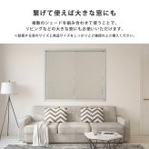 ハニカムシェード つっぱり 突っ張り ハニカムスクリーン 上下開閉 遮 フリーカット 賃貸OK 断熱スクリーン 取付簡単 遮熱 断熱 洋室 和室 西日対策 寒さ対策 仕間切り 24×110cm 採光タイプ