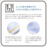 ロイヤルウィステリア ハンドタオル 2枚セット [26-7516-020] 34015 日本製 綿100 泉州タオル 特別な撚り糸 毛羽落ちが少ない 軽やか やわらかな肌触り ミニタオル ハンカチ ギフト プレゼント 内祝い お返し お祝い