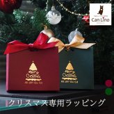 クリスマス ラッピング 紙袋 バッグ リボン 贈り物 サプライズ 記念日 彼女 彼氏 プレゼント おしゃれ