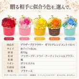 プリザーブドフラワー ギフトアレンジメントソルベ / プリザーブドフラワー バラ 花 ギフト 誕生日 母の日 敬老の日 結婚祝い 送別 新築祝い おしゃれ ケース付き / 色鮮やかなローズと上品なリボンが彩る そのまま飾れる華やかなフラワーギフト