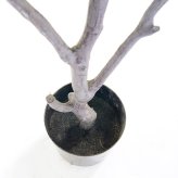 観葉植物 造花 フィカス ベンガレンシス BROWN 全高約170cm 大型 フェイクグリーン 高級 本物そっくり リアル おしゃれ インテリア 人工観葉植物 アーティフィシャルグリーン オフィス 店舗 ホテル 開店祝い 室内 リビング 玄関 風水 ゴムの木 ベンガルゴム