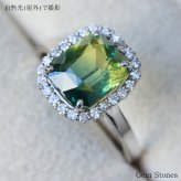 大粒 非加熱 バイカラーサファイア 3.67ct ダイヤモンド プラチナ Pt900 リング 指輪 ジュエリー 細い レディース 可愛い エレガント シンプル サファイア グリーン イエロー  誕生石 9月 Drops