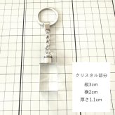 ３D彫刻 うちの子光るクリスタルキーホルダー　　犬 猫 ペット 立体 名入れ メモリアル オーダー ガラス ギフト プレゼント キレイ シンプル 透明 クリア 女性 男性