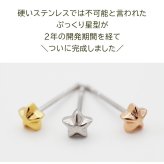 セカンドピアス つけっぱなし 星 スター 4mm 軸太 ロングポスト 金属アレルギー ステンレス かわいい 医療用 サージカル レディース メンズ 小さい プレゼント