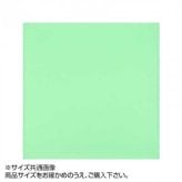 トレシー カラークロス 19×19cm A1919-YOO セージ 日本製 東レ 高性能 クリーニングクロス メガネ拭き スマホ 画面拭き レンズ拭き メガネクリーナー おしゃれ シンプル