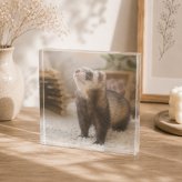 フェレット ガラスブロック ペット ハムスター 名入れ ペットグッズ ペットロス おしゃれ オーダーメイド 飼い主 うちの子 メモリアルフォトフレーム フォトフレーム 記念 高級 記念品 肉球 贈り物 メモリアル クリスタル プレゼント ペット写真 ディスプレイ 記念日 フォトキューブ 誕生日 写真入り 置き物 感謝 写真 写真立て ペット仏壇 オリジナル 虹の橋 愛猫家 うちの子記念日【c01】