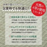ベッド 寝具 防災 避難 備え ユニット 畳 段ボール シングル 約100×200cm 5連