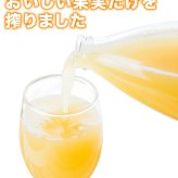 河内晩柑ジュース 200ml ギフト箱 愛媛県産【贅沢な果汁100％】送料無料