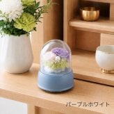 【1～2営業日内に発送】18弁量産オルゴール・フラワードームカップ・在庫曲から選ぶ・オルゴール・プリザーブドフラワー・仏花・お供え・お仏壇・誕生日・母の日・父の日・入園・入学・卒園・卒業・プレゼント・結婚・両親・出産・還暦・退職・ジブリ・ディズニー・無料ラッピング