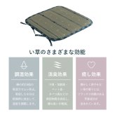 クッション シートクッション い草 チェック柄 調湿 空気清浄 お手入れ簡単 シート 約40×40cm