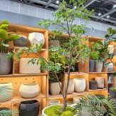 観葉植物 造花 イロハモミジ BROWN 全高約230cm 大型 フェイクグリーン 高級 本物そっくり リアル おしゃれ 和風 和モダン インテリア 人工観葉植物 アーティフィシャルグリーン オフィス 店舗 ホテル 旅館 開店祝い 室内 リビング 玄関 風水 もみじ 紅葉 カエデ