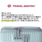 イノベーター スーツケース キャリーケース 21L 1-3泊程度 機内持ち込み可能 innovator INV30 メンズ レディース 送料無料 誕生日プレゼント 【正規代理店】