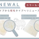 ムートンマット 短毛 90×120cm 高級天然 ムートン使用 ムートン ラグ マット 敷物 シート 毛皮 ファー ムートンラグ 送料無料 アイボリー グレー ブラウン ふわふわ アウトドア キャンプ 敷物 短毛 ムートン 毛皮 マット ソファ ファー 在宅