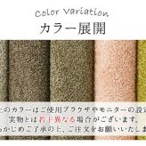 デスクカーペット カーペット 日本製 抗菌 消臭 清潔 防炎 抗アレル物質 ダニ対策 シャギー 無地 約1.2畳 約120×150cm 抗菌消臭で清潔 無地デスクカーペット 抗菌防臭 ポリエステル 学習机用カーペット 学習デスク用マット 子供部屋マット