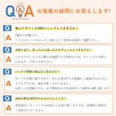 サンプルピアス貸出券