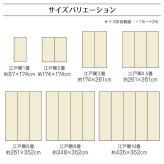 ラグ カーペット 洗える 日本製 国産 抗菌 防臭 消臭 アウトドア レジャー 敷物 和室 シンプル 江戸間8畳(約348×352cm)