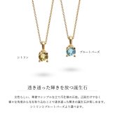 シトリン ネックレス K14 ゴールド ネックレス ハワイアンジュエリー ネックレス 14K K14ゴールド 14金 イエローゴールド ピンクゴールド ホワイトゴールド 11月誕生石 一粒 ギフトラッピング可能 プレゼント ハロウィン 【品番：CG-GP501-11】